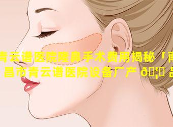 青云谱医院隆鼻手术费用揭秘「南昌市青云谱医院设备厂产 🦋 品介绍」